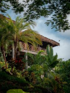 um resort com palmeiras em frente em ECOLODGE Diana em Ankify