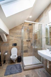 a bathroom with a shower and a toilet and a sink at Vila Kollár Vysoké Tatry in Vysoké Tatry