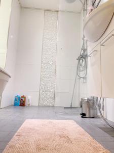 ein Bad mit einer Dusche und einem rosa Teppich in der Unterkunft Tilava kaksio- Keskusta- Autopaikka in Rovaniemi + 8 Fotos