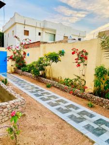 a stone walkway in front of a building with flowers at Blue House in Lighthouse in Dahab