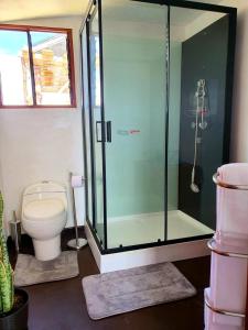 a bathroom with a toilet and a glass shower at Urus Beluxia in Puno