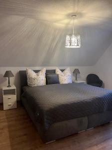 um quarto com uma cama e um lustre em Ferienwohnung LoWu em Hagen
