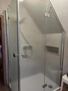 eine Dusche mit Glastür im Badezimmer in der Unterkunft Ferienwohnung LoWu in Hagen + 11 Fotos