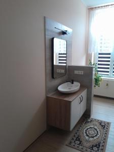 a bathroom with a sink and a mirror at Ferienwohnung Mantei in Altentreptow