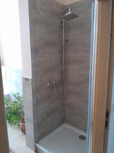 a shower with a shower head in a bathroom at Ferienwohnung Mantei in Altentreptow