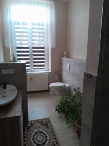 un bagno con un water, un lavandino e una finestra di 1 Zi, FeWo mit Küche und Bad ad Altentreptow