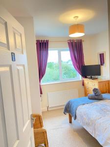 a bedroom with a bed and a window with purple curtains at Valentia Skellig Rooms in Valentia Island