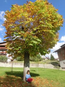 un jeune enfant assis à côté d'un arbre dans l'établissement OLIMPIA LODGE, à Cortina dʼAmpezzo