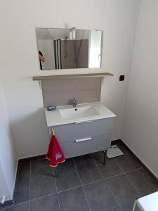 łazienka z umywalką i lustrem w obiekcie BelleVue w mieście Le Mans +13 zdjęć