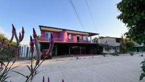 een roze huis aan de kant van een straat bij Apartaestudio en los llanos in Monterrey