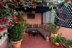 Zahrada ubytování Surf Riad Taghazout