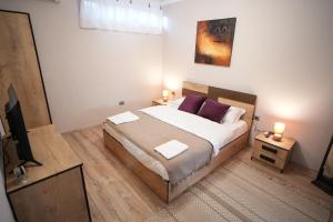 1 dormitorio con 1 cama grande con almohadas moradas en Grandpa House - App.3, en Tirana