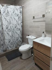 y baño con aseo y cortina de ducha. en Alojamiento Alisson, en Villena