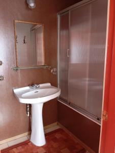 a bathroom with a white sink and a shower at ALERCE NATIVO HOTEL in Castro