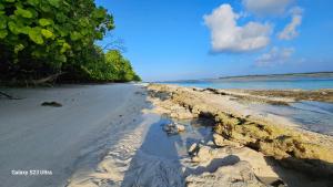 einen Sandstrand mit Bäumen und dem Meer in der Unterkunft Boegas View Guesthouse in Vaikaradhoo