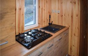 a stove and a sink in a wooden kitchen at Lovely Home In Wilimy With House A Panoramic View in Dadaj