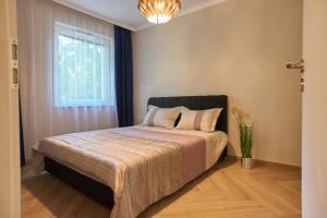 Posteľ alebo postele v izbe v ubytovaní Sunlight Blue Szeged - Exclusive