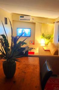 a living room with a couch and a potted plant at Acacia Gardens in Lautoka