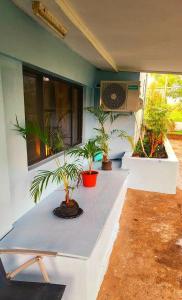 a patio with potted plants on the side of a house at Acacia Gardens in Lautoka
