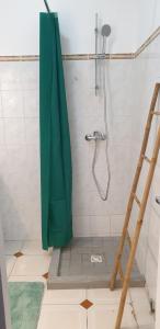 a shower with a green shower curtain in a bathroom at COSY Tamarins 2 plage à quelques mètres à pied in Sainte-Anne