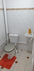 een badkamer met een toilet en een wastafel bij COSY Tamarins 2 plage à quelques mètres à pied in Sainte-Anne