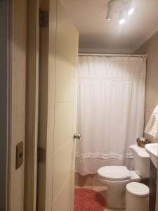 uma casa de banho com um WC e um lavatório em Apartamento full equipado em Temuco