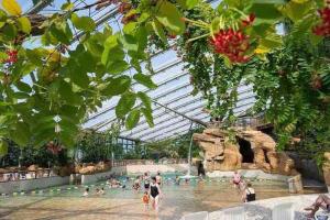 people in a swimming pool in a greenhouse at Charmante maison de ville au cœur de Fismes in Fismes