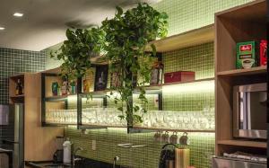 - une cuisine carrelée de vert avec une plante suspendue au-dessus d'un évier dans l'établissement Hotel Pax, à Ponta Grossa
