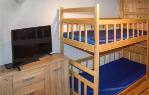 sypialnia z łóżkiem piętrowym, telewizorem i łóżkiem piętrowym gmaxwell gmaxwell w obiekcie 1 Bedroom Gorgeous Home In Wilimy w mieście Dadaj