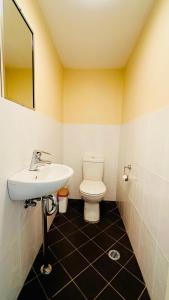 a bathroom with a sink and a toilet at Three Monkeys Residence in Kellyville +23 photos