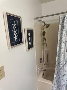 a bathroom with a shower with a picture and a camera at Just like home! in Huntsville