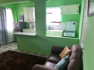 ein Wohnzimmer mit grünen Wänden und einem Sofa in der Unterkunft Estuary Apartments 1 in Dunfermline