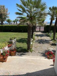 Zahrada ubytování Villa Mirella