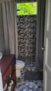 a bathroom with a shower with a toilet and a sink at Henko House in Quepos +5 photos