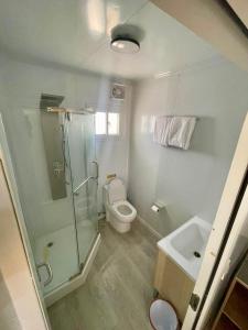 a bathroom with a shower and a toilet and a sink at مخيم شداد Eco Shdad in Al Ghaylānah