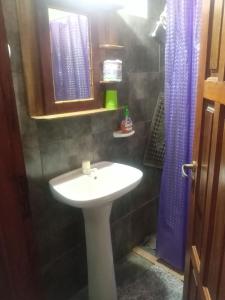 a bathroom with a white sink and a blue shower curtain at Escapada Natural Bungalows El Pindó in General Alberdi
