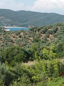 a view of a forest with a lake in the distance at Art Hotel Panorama in Pyrgadikia