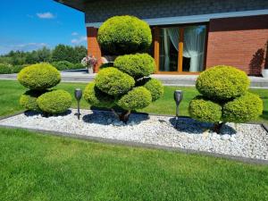 Galeriebild der Unterkunft POKOJE GOŚCINNE U MIKOŁAJA in Pękanino