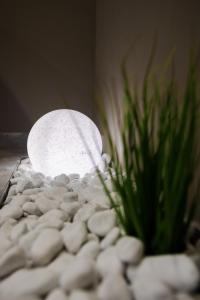 a light sitting on top of a pile of rocks next to a plant at GOSTILNA S PRENOČIŠČI PAV in Rakek