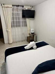 Katil atau katil-katil dalam bilik di Merak Hostel