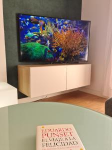 - une télévision assise sur un banc à poissons dans l'établissement Arenas doradas, à Arenales del Sol