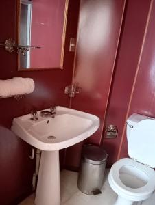 y baño con lavabo blanco y aseo. en ALERCE NATIVO HOTEL, en Castro