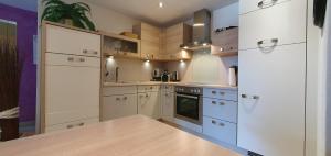 Een keuken of kitchenette bij Silberblick Ferienwohnungen - aussergewöhnlich & familienfreundlich