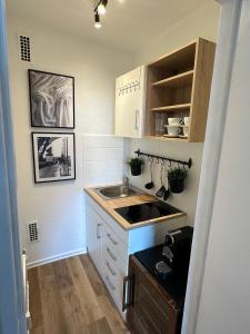 una pequeña cocina con fregadero y encimera en Elegantes & Modernes Messe Apartment, Hannover, Laatzen, en Hannover