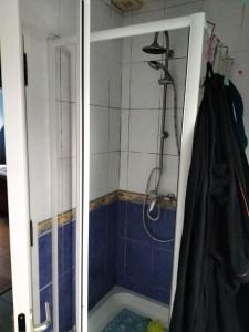 uma casa de banho com um chuveiro com azulejos azuis e brancos em Sous le pommier em Douvres-la-Délivrande