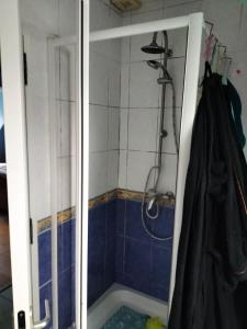 a bathroom with a shower with a blue and white tiles at Sous le pommier in Douvres-la-Délivrande
