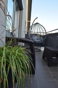 a bird cage on a balcony with a plant at Apart city break apartament in Świebodzice