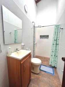 ヘリコにあるCampo Bonitoのバスルーム(洗面台、トイレ、鏡付)