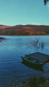 a boat sitting in the middle of a lake at Luna de miere in Cinciş