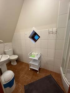 ein Bad mit WC und ein TV an der Wand in der Unterkunft Pokoje Gościnne Złota Palma in Lądek-Zdrój